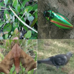 Thumbnail of post image 044